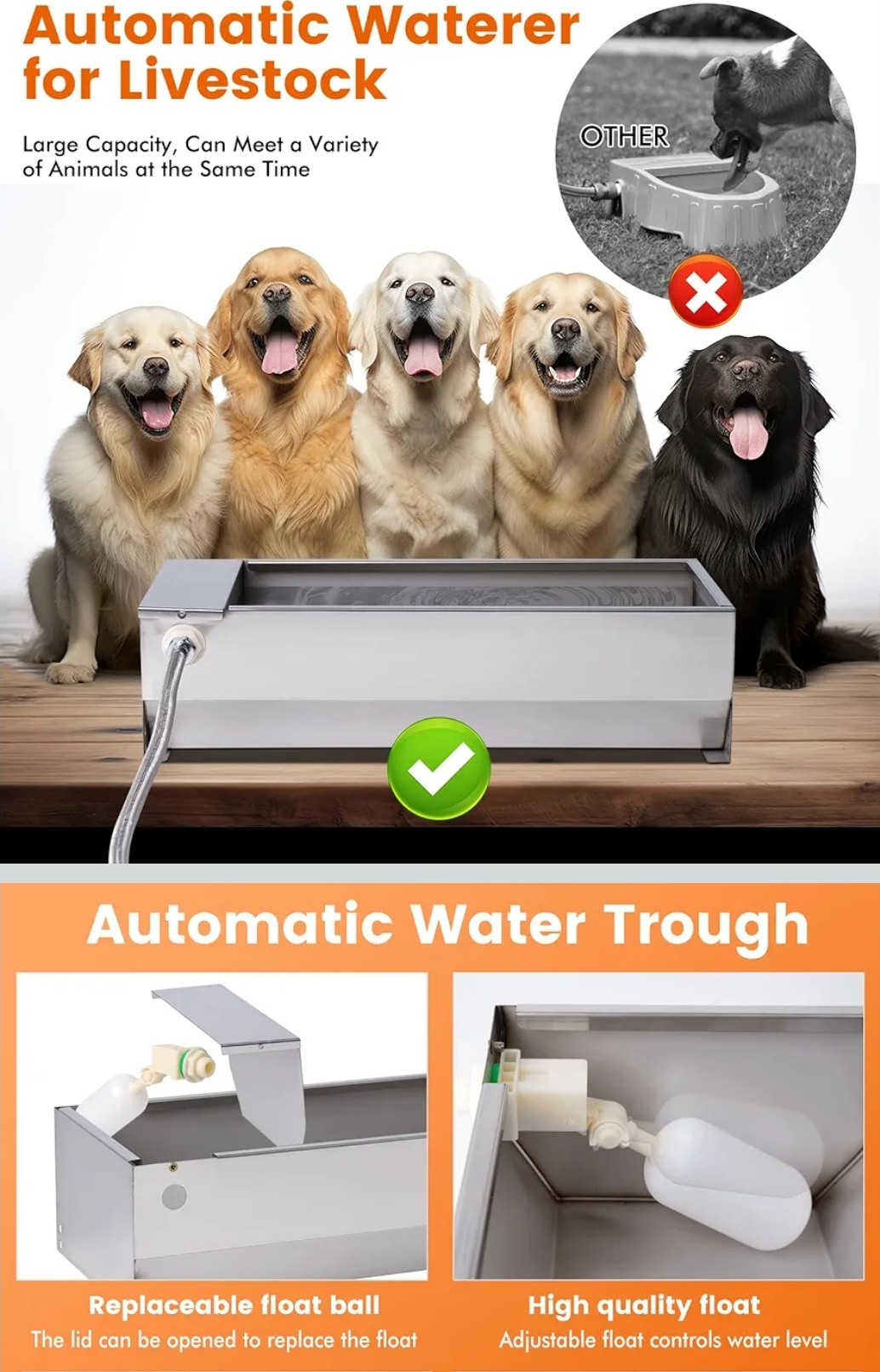 Amazon Product